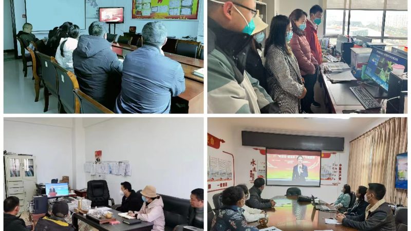 在线教育内容审核：守护知识质量的关卡