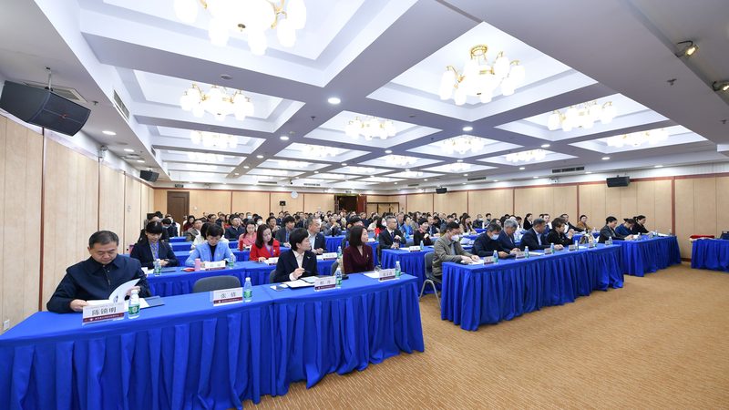 自考本科与网络教育的专业选择与对比解析**